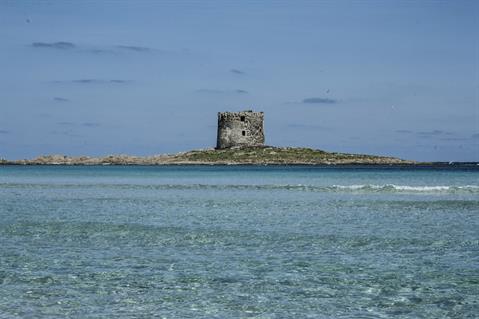 Laurea Sardegna Online