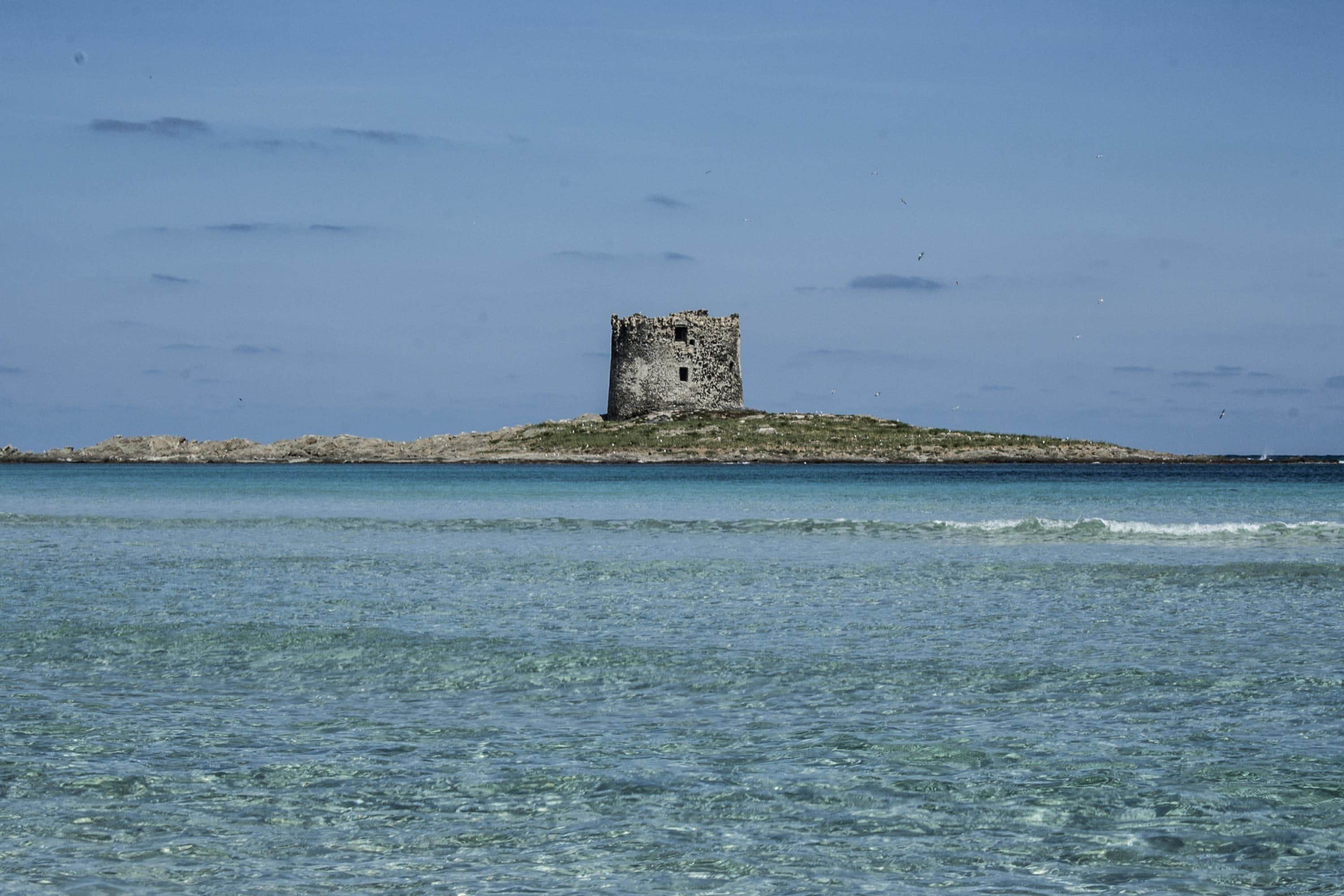 Laurea Sardegna Online