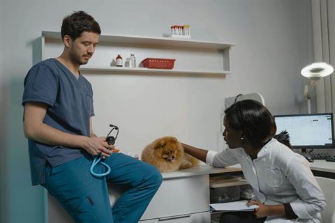 Accesso a Veterinaria: Come Funziona il Semestre Filtro