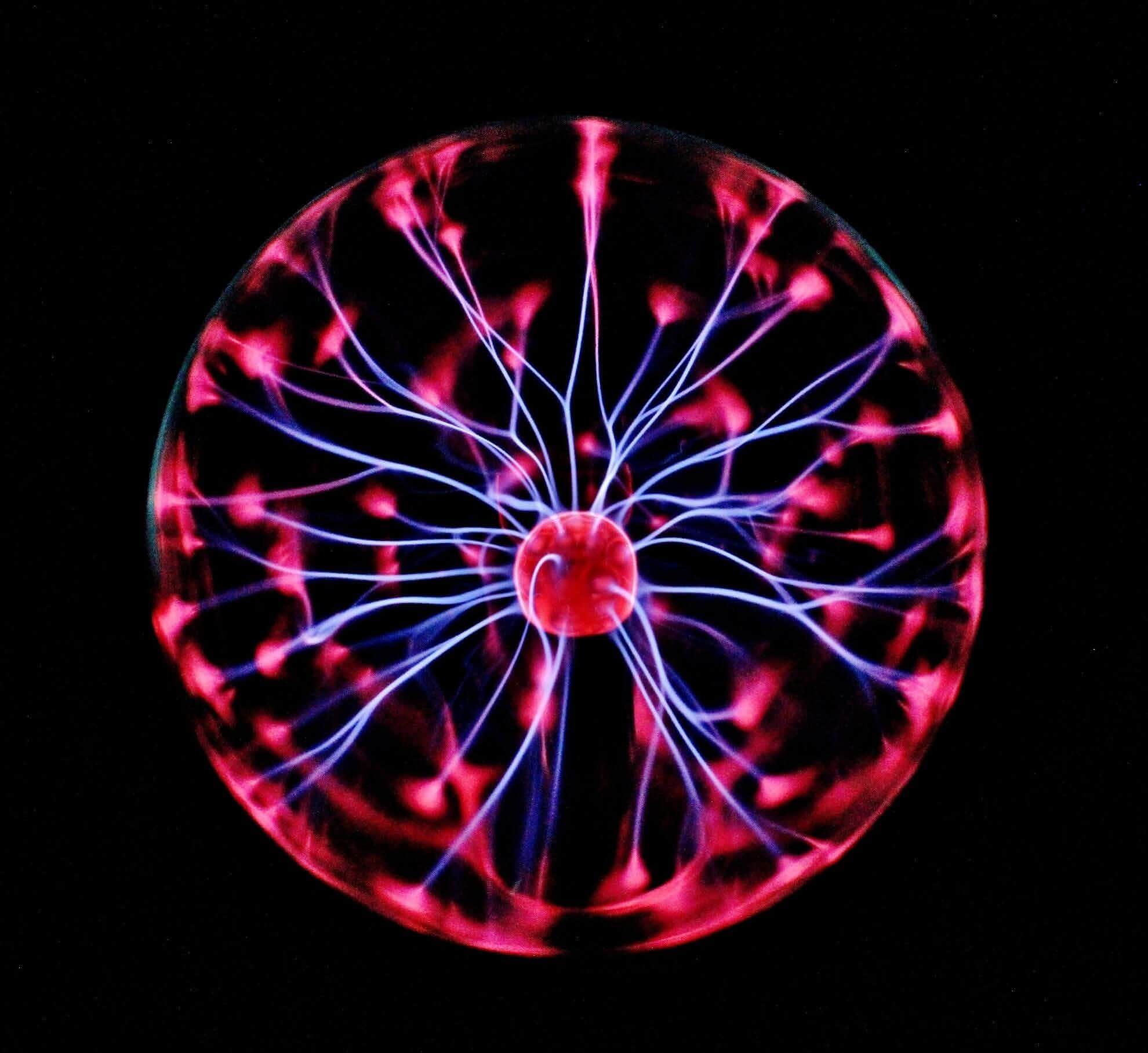Come Laurearsi e prendere la Laurea in Neuroscienze